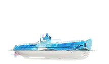 BA Arona's Whale